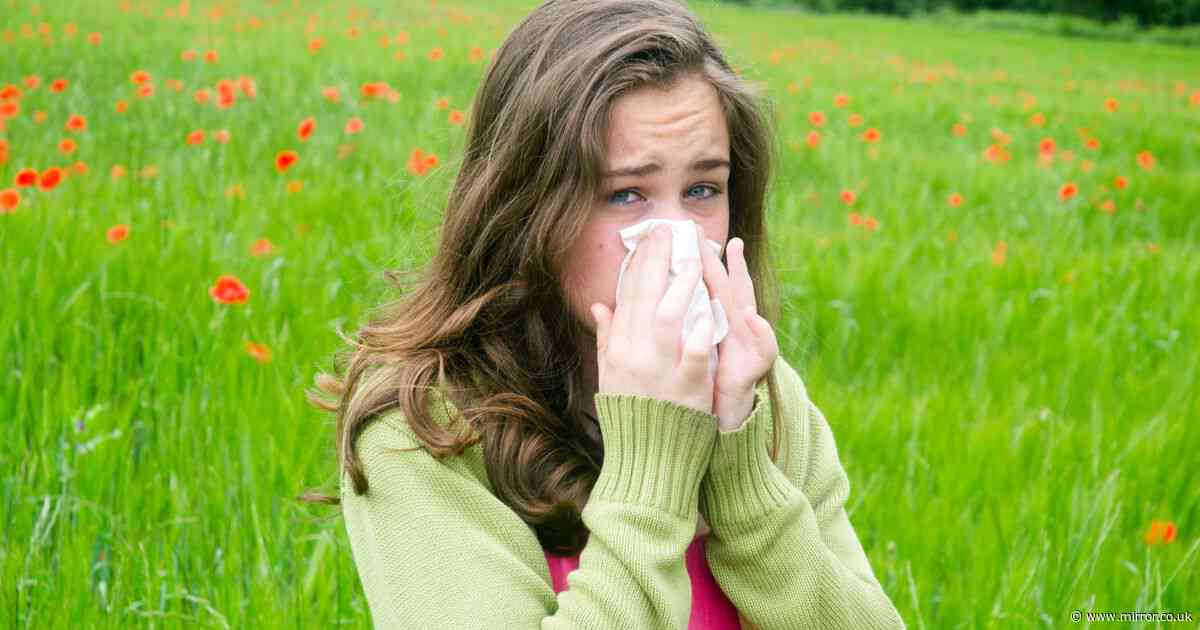 Met office warning as hay fever bomb set to hit 15 million Brits this week