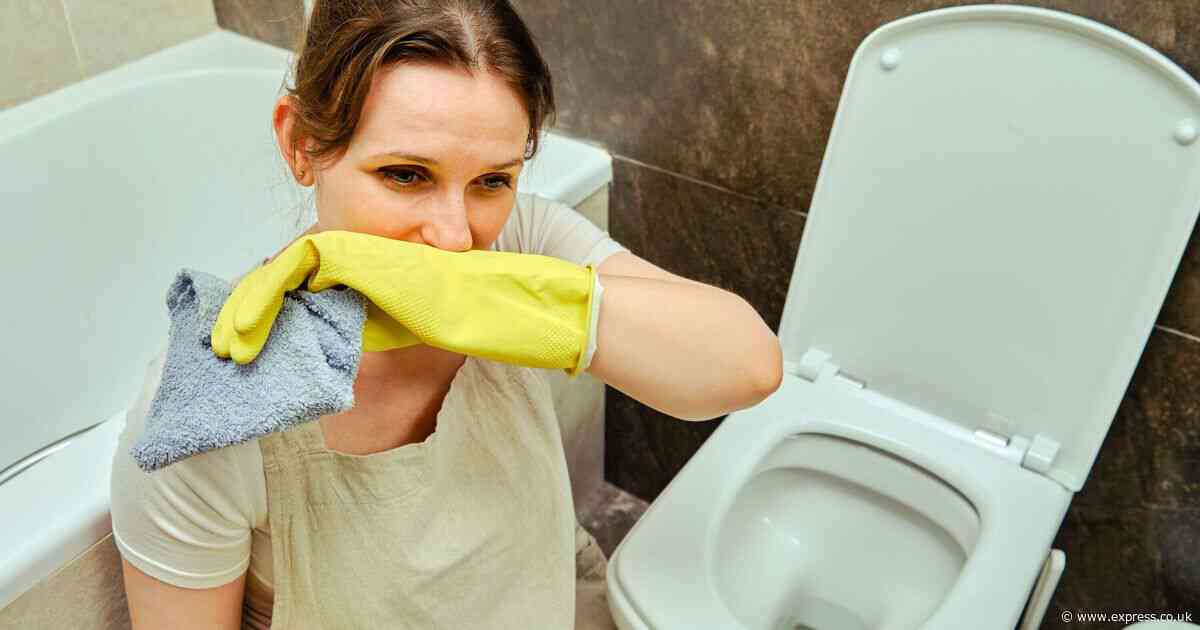 Stop using bleach to remove toilet urine smells when 99p item ‘works better’ in 10 minutes