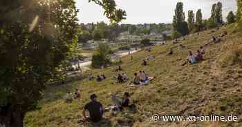 Mauerpark Berlin: Baum stürzt auf Menschenmenge
