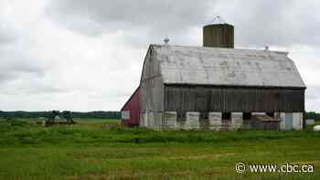 Investors reshaped Canadian home real estate. Something similar is happening in agriculture