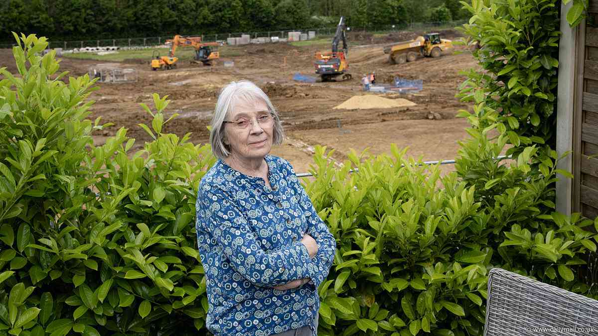 Our homes could collapse next! Furious residents are living in fear that their gardens could sink into the ground at any moment after nearby street suffered 'apocalyptic' damage due to 'nuisance' construction work on huge new-build estate