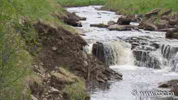 Despite good intentions, Fredericton man says creek restoration 'a mess'