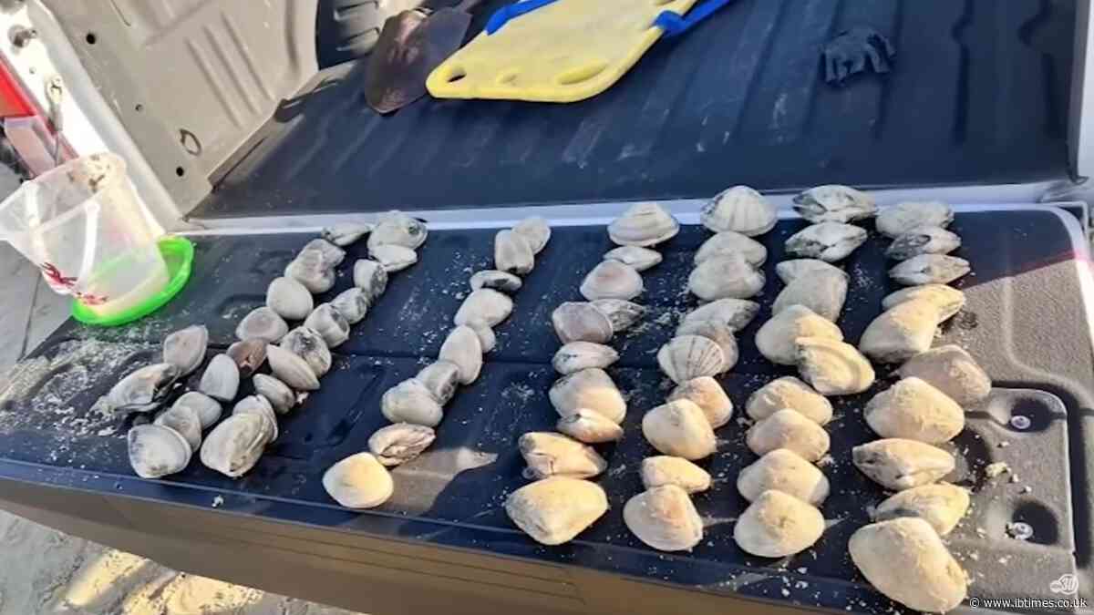 Mom Fined $88K After Finding Out What The 'Seashells' Her Kids Got From The Beach Really Are