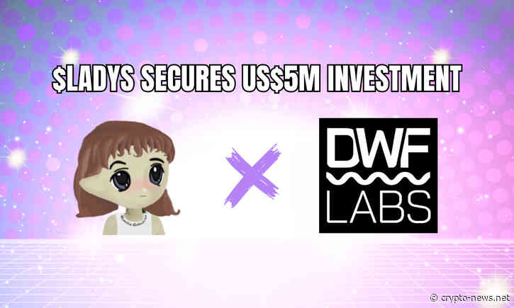 Milady Meme Coin Secures US$5 Million Investment from DWF Labs