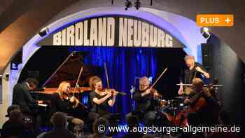 Wolfert Brederode Quartet: Musik, die die Gegenwart inspirieren kann