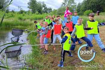 Leerlingen Het Beukenbroekje redden waterdiertjes in Rosmeer