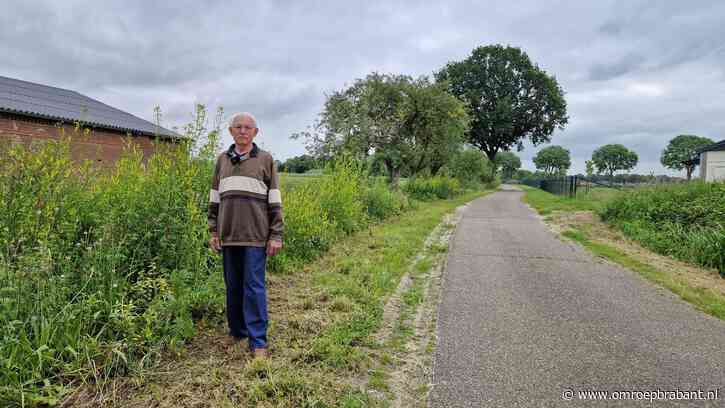 Gemeente maait bloemen kapot, imker Gerrit (84) is woest: ‘Alles is weg’