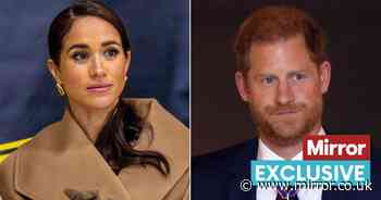 Harry and Meghan 'would be hit hard by royal title change but stand to benefit'