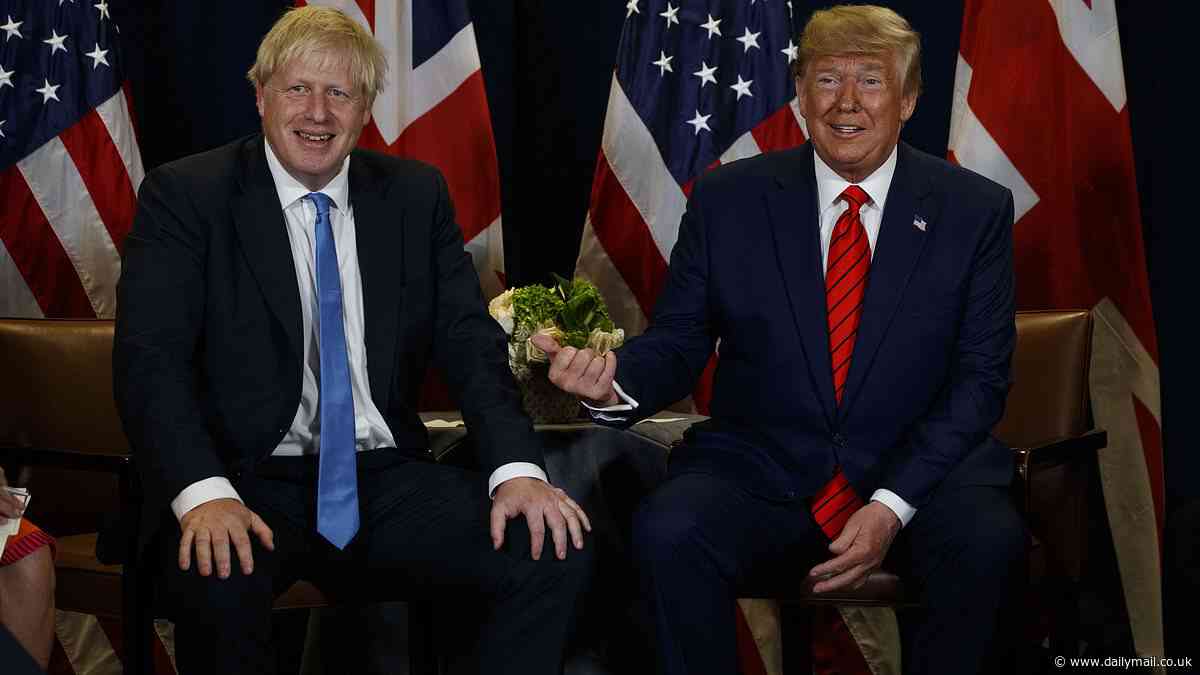 Donald Trump thanks Boris Johnson for denouncing his convictions as a 'machine-gun, mob-style hit job' after he was found guilty of 34 counts of falsifying business documents