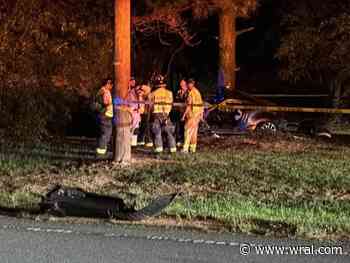 Car hits tree, 19-year-old driver killed in Apex