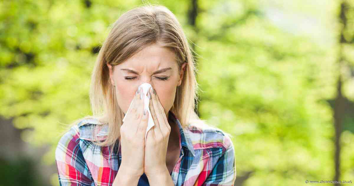 Pollen bomb set to hit UK this week as warning issued for hay fever sufferers
