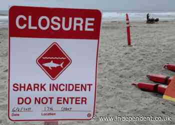 Man attacked by shark during group swim on California beach