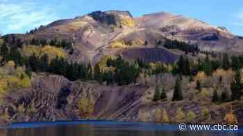 Alberta municipality appeals regulator's decision to accept coal exploration