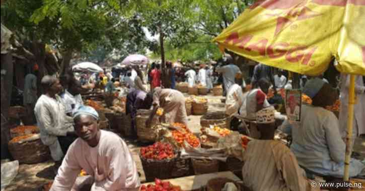 If I go on strike, who will feed my family - Kaduna market operates amid NLC strike