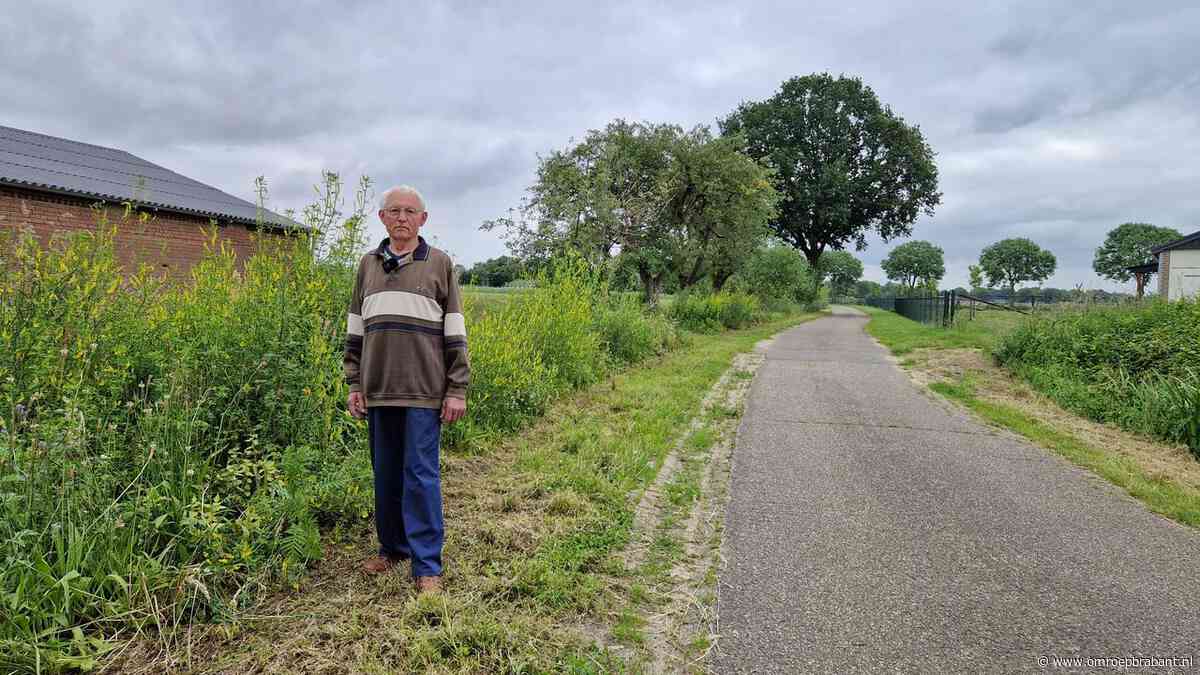 ‘Alles is weg’, Gerrit (84) woest nadat gemeente bloemen kapot maait