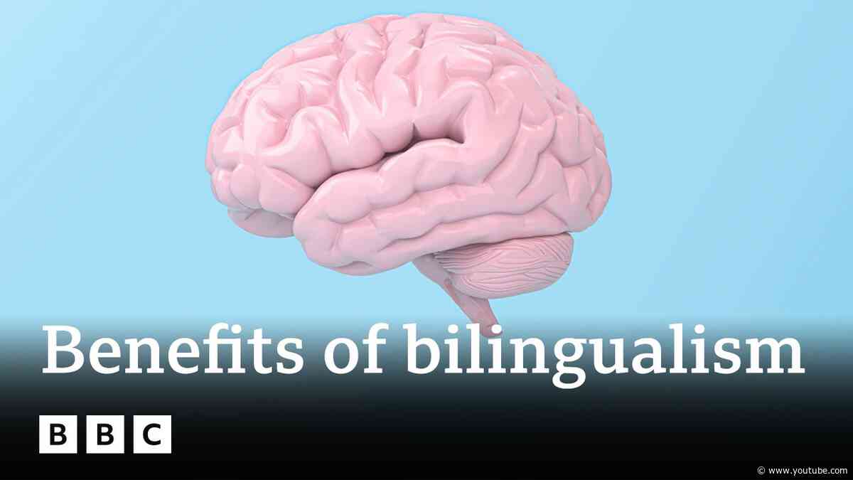 Is being bilingual good for you brain? | BBC Ideas