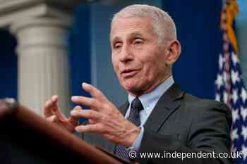 Watch live: Fauci grilled by House Republicans over Covid-19 response