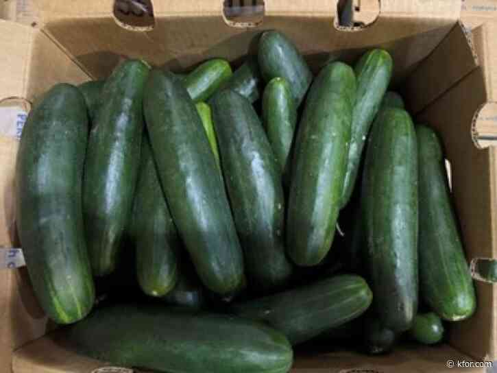 Cucumbers shipped to 14 states recalled over possible salmonella contamination