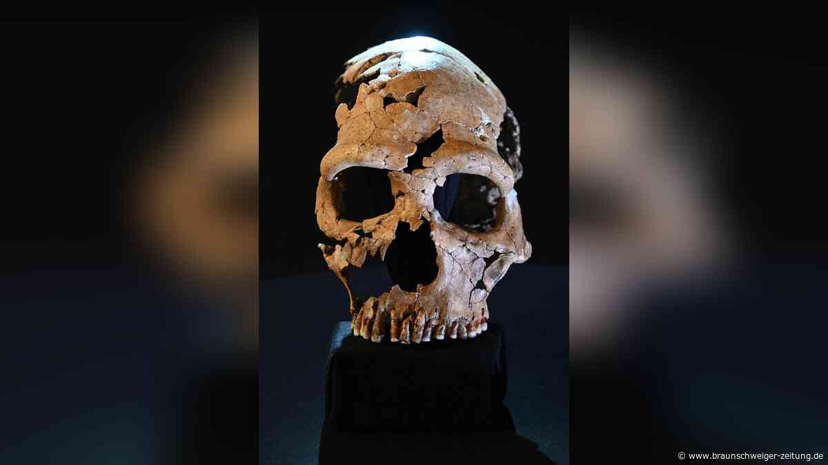 Gesicht rekonstruiert: So sahen Neandertaler einst aus