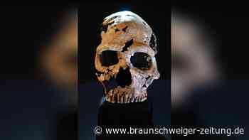Gesicht rekonstruiert: So sahen Neandertaler einst aus