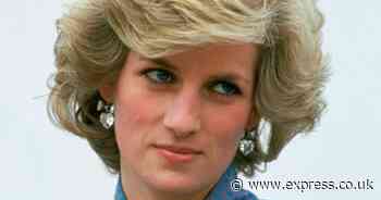 Diana's hairdresser has one top tip for keeping hair fresh this summer