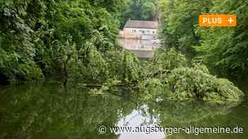 Bei der Augsburger Kahnfahrt ist wieder ein Baum ins Wasser gestürzt