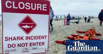 California shark attack injures swimmer and triggers beach closures