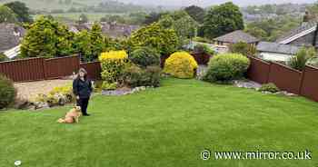 Homeowner wins £8k after lawn was left looking like 'Teletubbyland' from moles