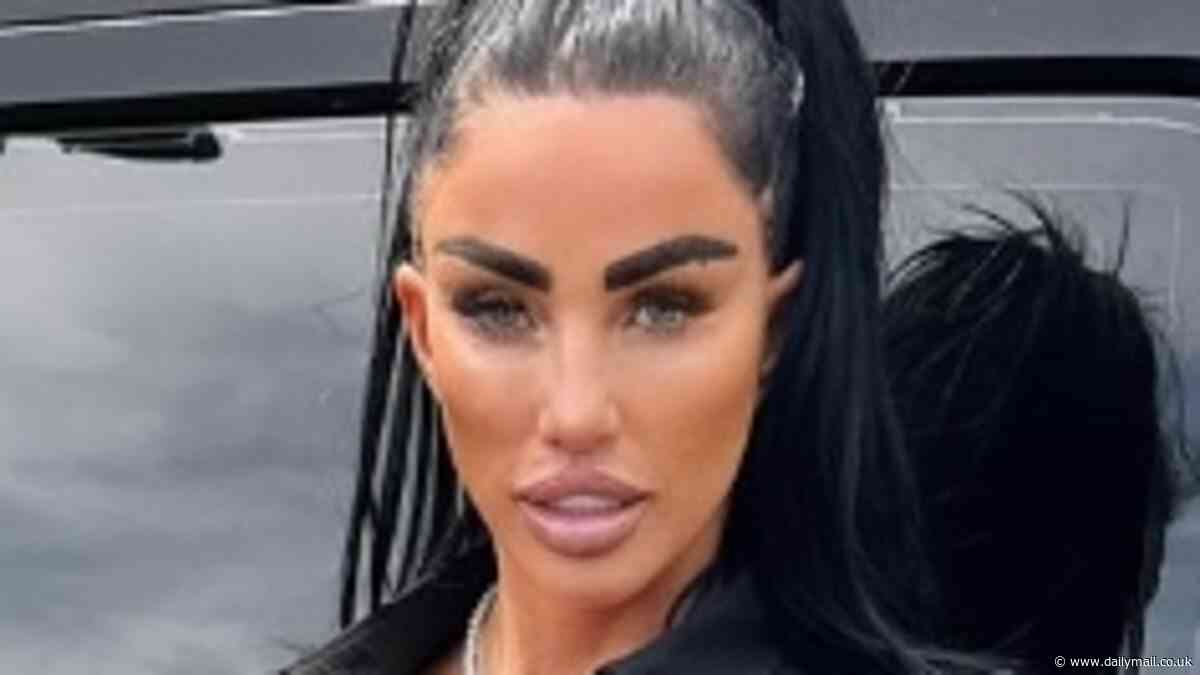 Katie Price calls the police over terrifying acid attack on her pink Range Rover as they plead for 'any witnesses to come forward'