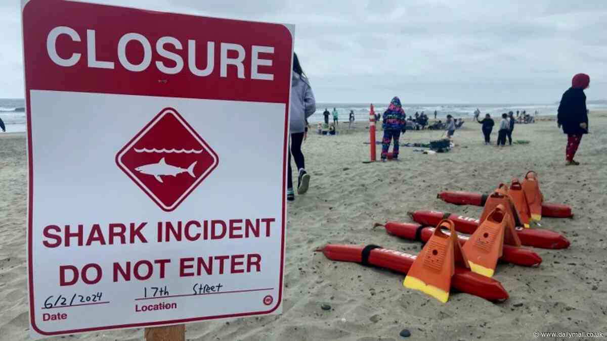 Shark attacks man, 46, in San Diego water as eyewitnesses recall horrifying moment swimmer punched animal: 'There was a lot of blood'