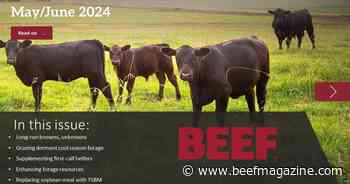 May/June 2024 edition of BEEF now available