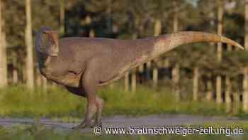 Neue Dinosaurier-Art mit „lächerlich“ kleinen Armen
