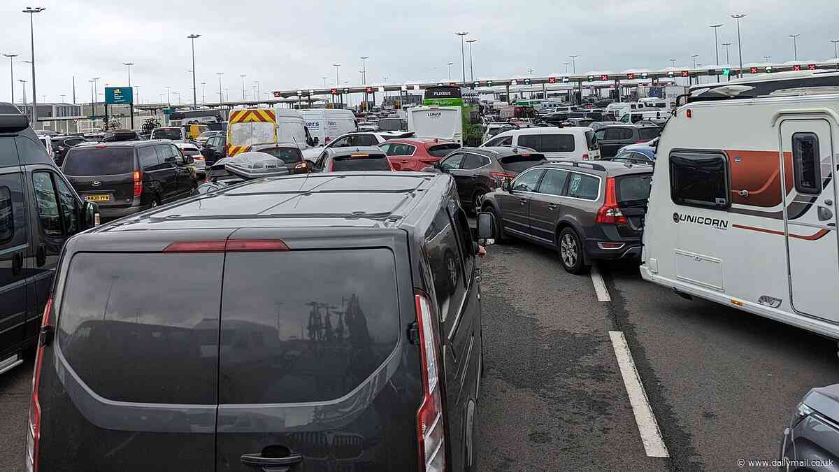 British holidaymakers are hit by 'five hour' delays at Calais border controls with no explanation of why logjam has been caused