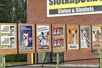 Plots staat hondje Mokka op elke verkiezingsaffiche: commerciële stunt, maar ook sneer naar lokale roddels