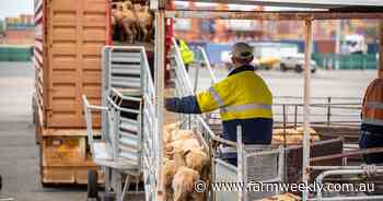 Farmers need to up the live export ante