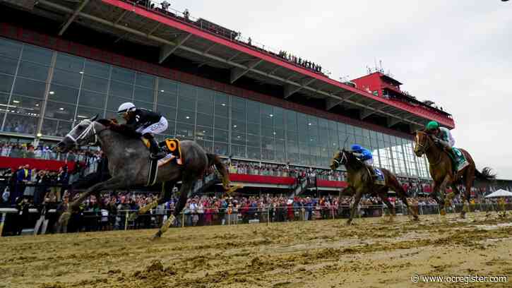 Seize the Grey draws inside post for the Belmont Stakes