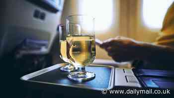 Travellers, beware! Drinking on long haul flights may threaten sleeping passengers' heart health, study warns