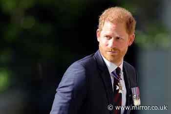 Devastated Prince Harry's two 'deepest upsets' over Archie, Lilibet and their royal cousins