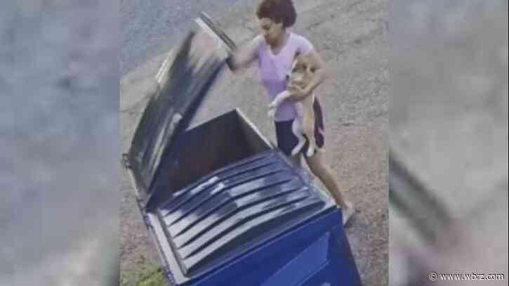 Two people arrested for throwing puppies in dumpster; dogs rescued by neighbor
