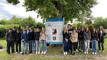 Bewegende Szenen mit Schülern auf Wolfsburger Friedhof