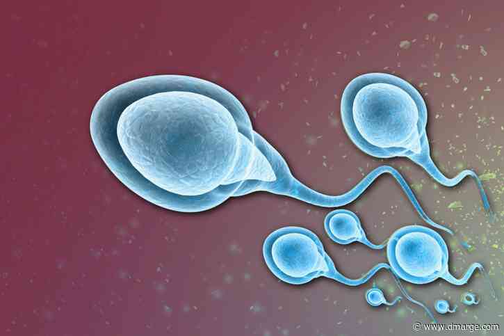 Breakthrough Male Contraceptive Is ‘Safe & Effective’, But There’s One Awkward Catch