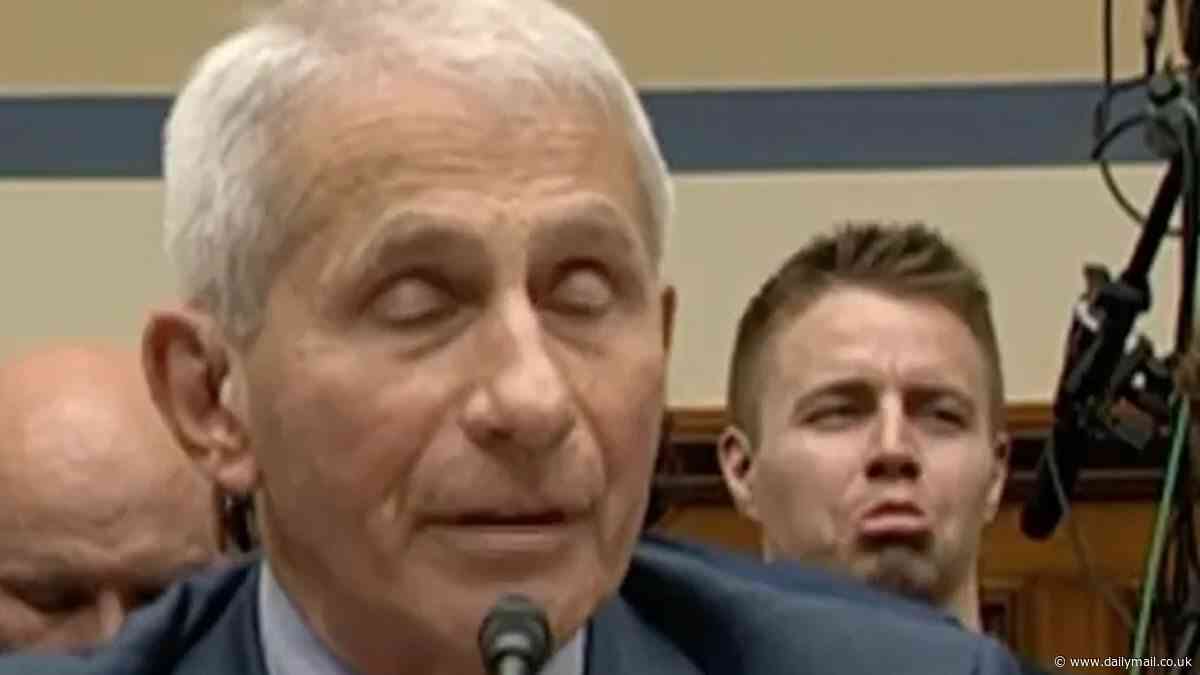 Dr. Anthony Fauci tears into mystery person who sat behind him during his bombshell congressional testimony into COVID: 'What is somebody like that doing there'