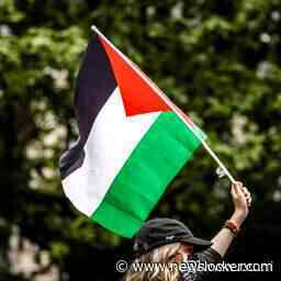 Betogers bij TU Delft aangehouden na beëindigen pro-Palestinademonstratie