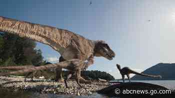 Three boys found a T. rex fossil in North Dakota. Now a Denver museum works to fully reveal it