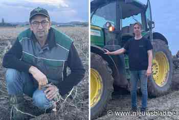 “Zelfs de oudere boeren maakten dit nog nooit mee”: deze boeren hebben geen tijd om te betogen in Brussel