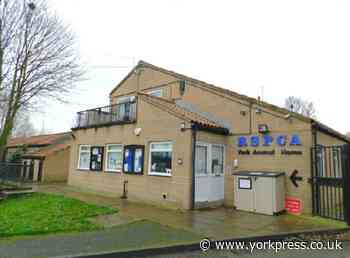 RSPCA site in York set to be demolished and rebuilt
