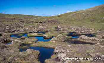 Scottish farmers restore 10,000 hectares of damaged peatland