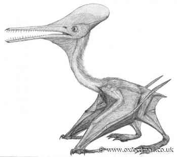 Flying Jurassic reptile Pterosaur found in Abingdon