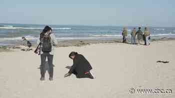 Coastal erosion threatens to wash away of D-Day beaches