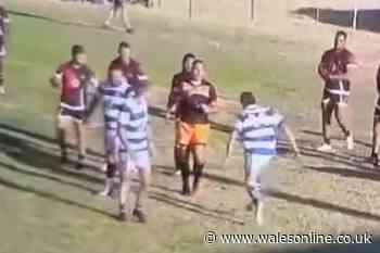 Rugby player gets lifetime ban after flattening referee in shocking footage